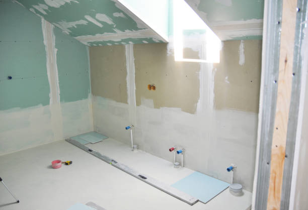 Reliable Steilacoom, WA Mold Removal Solutions