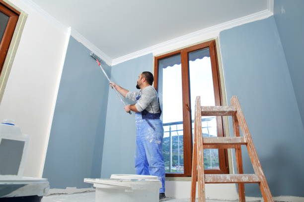 Best Water Damage & Mold Remediation  in Steilacoom, WA