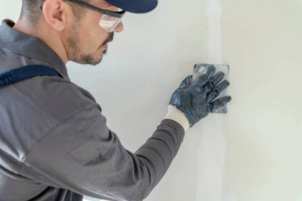 Best Basement Mold Removal  in Steilacoom, WA