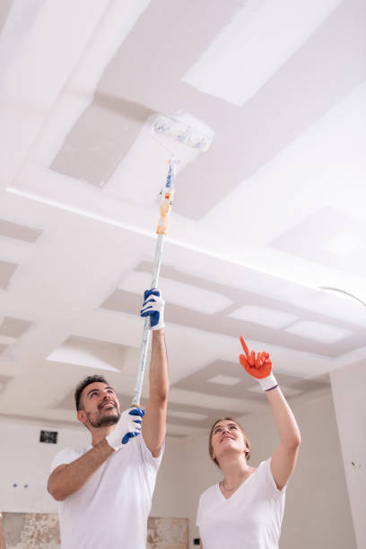 Reliable Steilacoom, WA Mold Removal Solutions