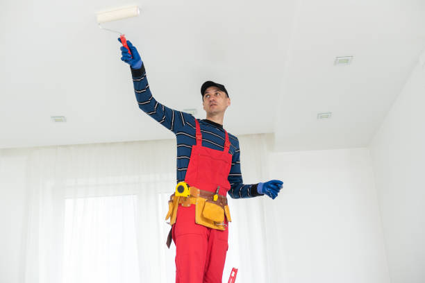 Best Residential Mold Inspection & Testing  in Steilacoom, WA