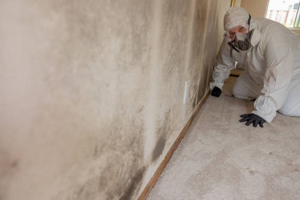 Best Mold Documentation for Insurance Claims  in Steilacoom, WA