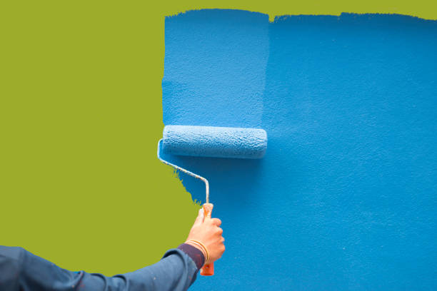 Best Emergency Mold Remediation  in Steilacoom, WA